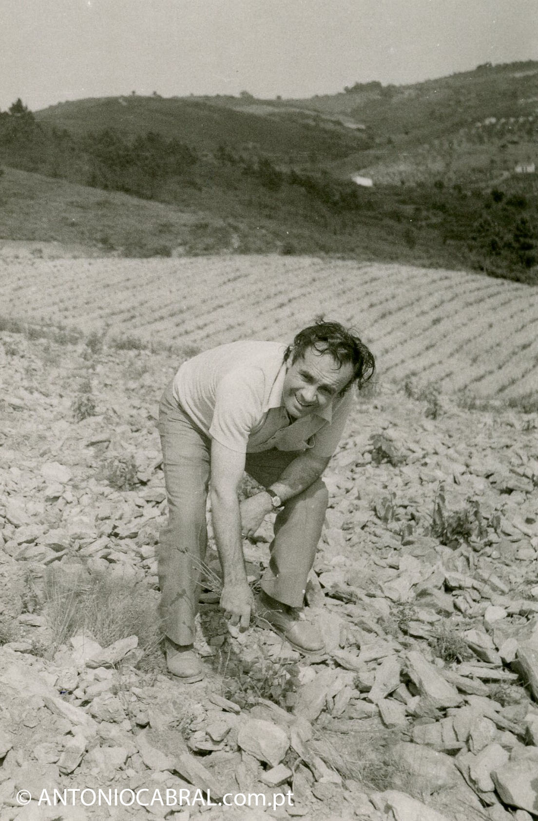 António Cabral na Pedra Furada, vinha duriense da família (anos 70)