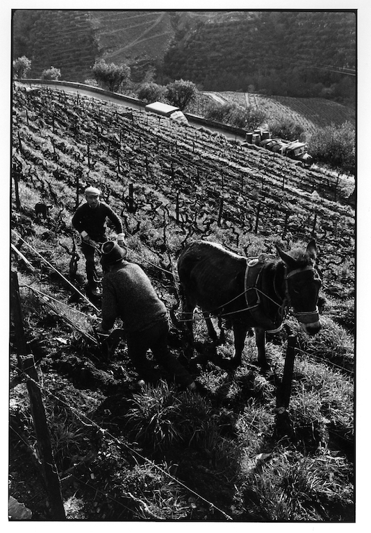 Casais do Douro (1987), por Georges Dussaud