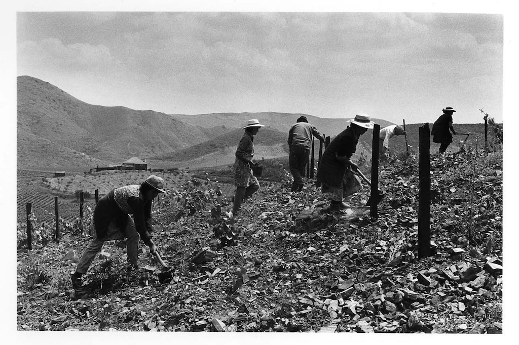 Quinta da Ervamoira (1987), por Georges Dussaud