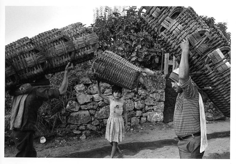 Quinta de Cimo de Sande (1985), por Georges Dussaud